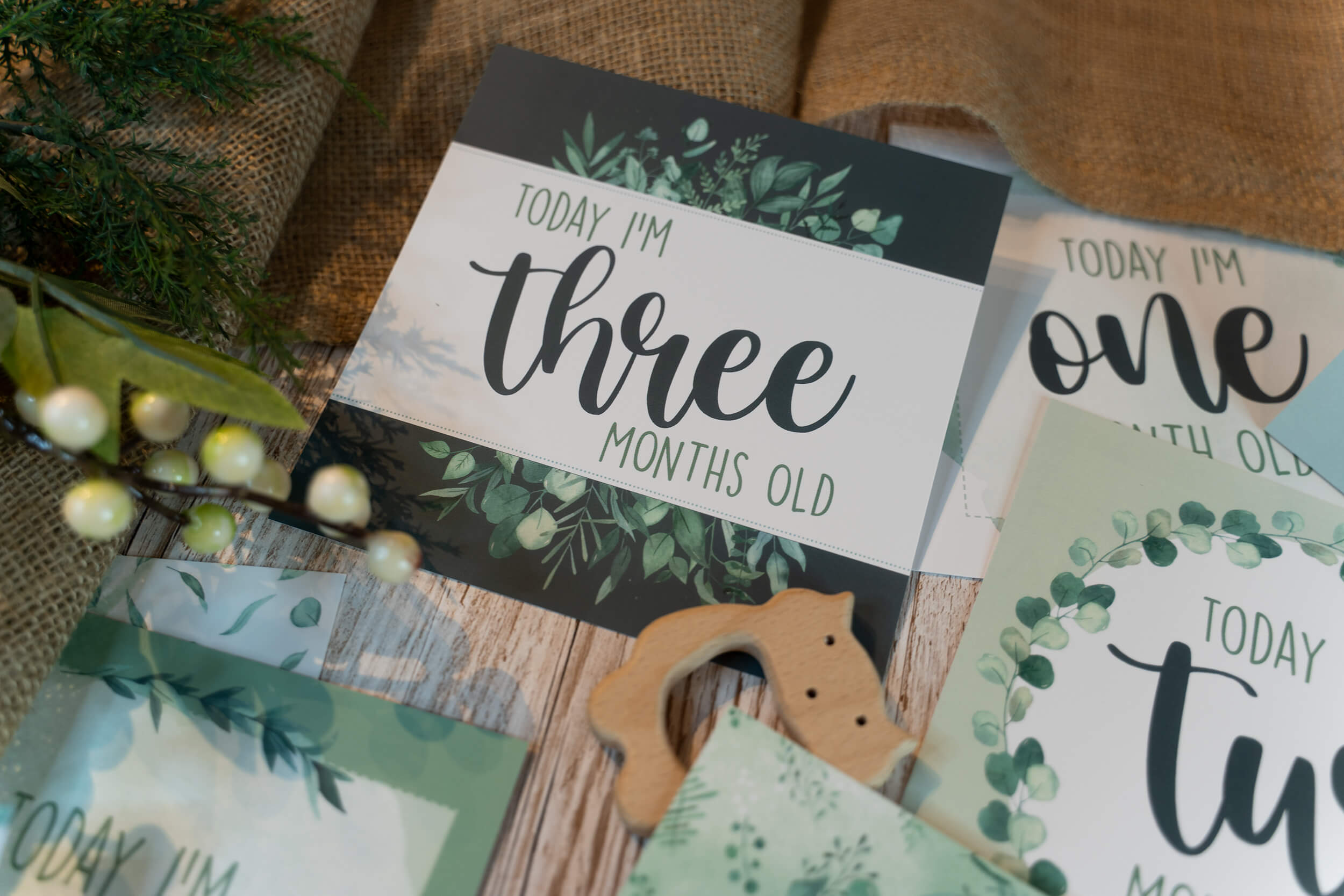 Green Woodland Monthly Baby Milestone Cards