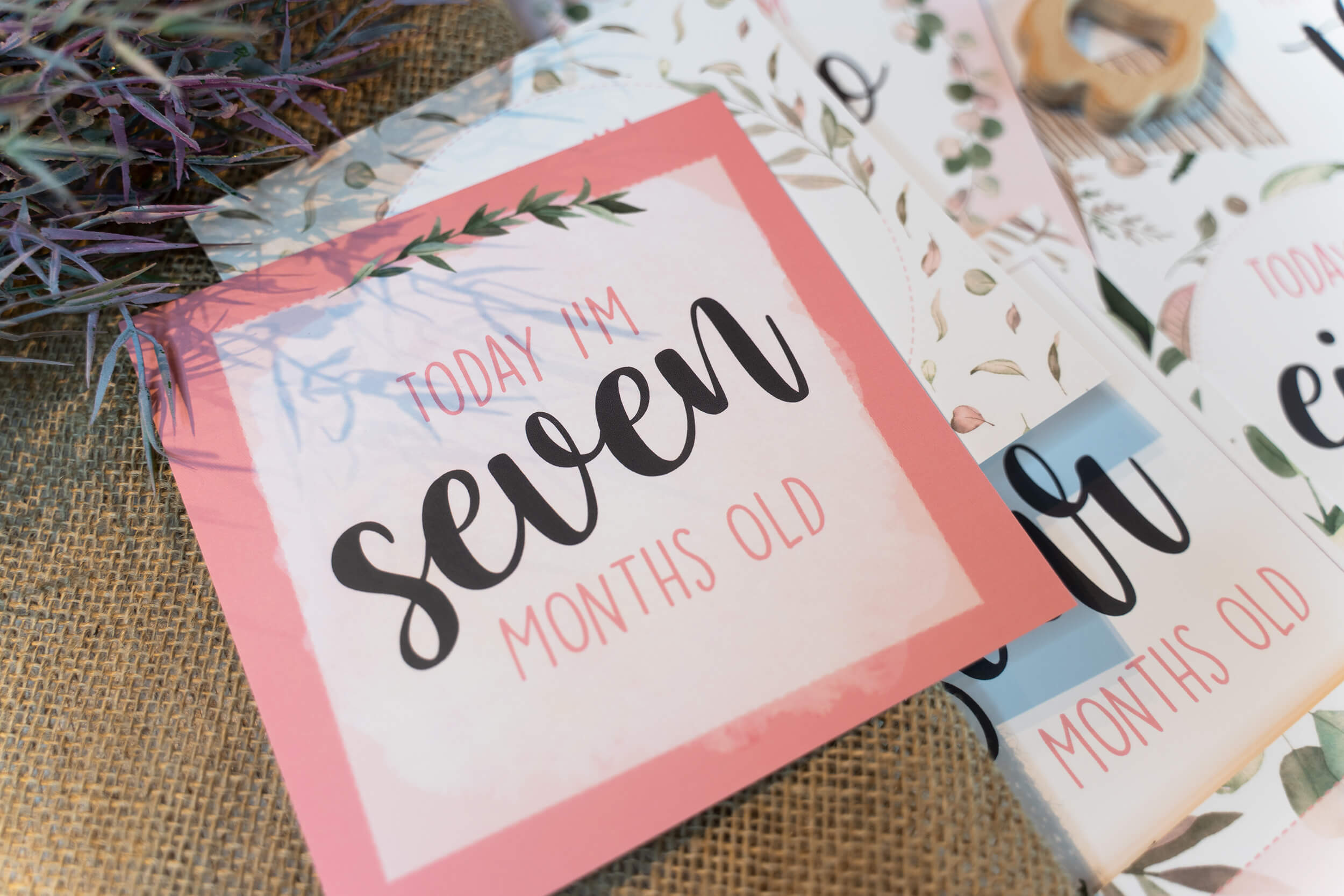 Pink Woodland Monthly Baby Milestone Cards